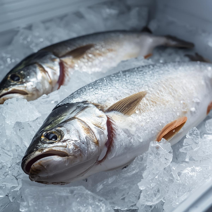 Collection image for: Frozen fish