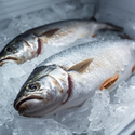 Frozen fish