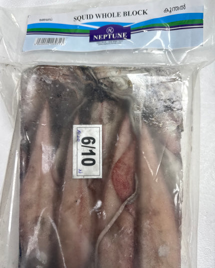 NEPTUNE - Frozen Fish Squid Whole Block 1.8KG