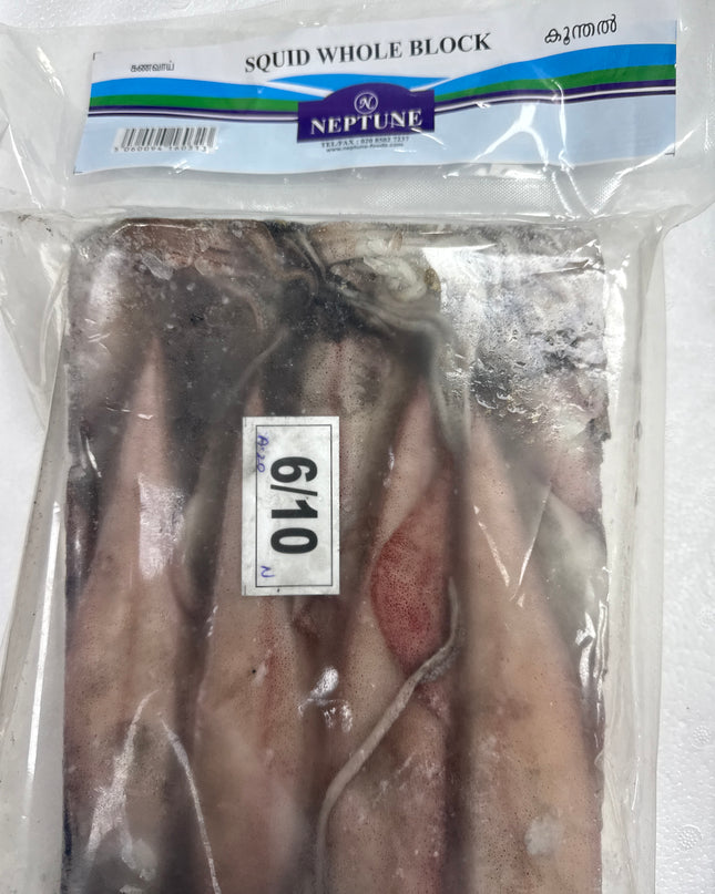 NEPTUNE - Frozen Fish Squid Whole Block 1.8KG