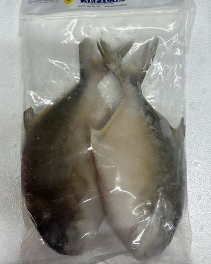Neptune golden pomfret 1kg