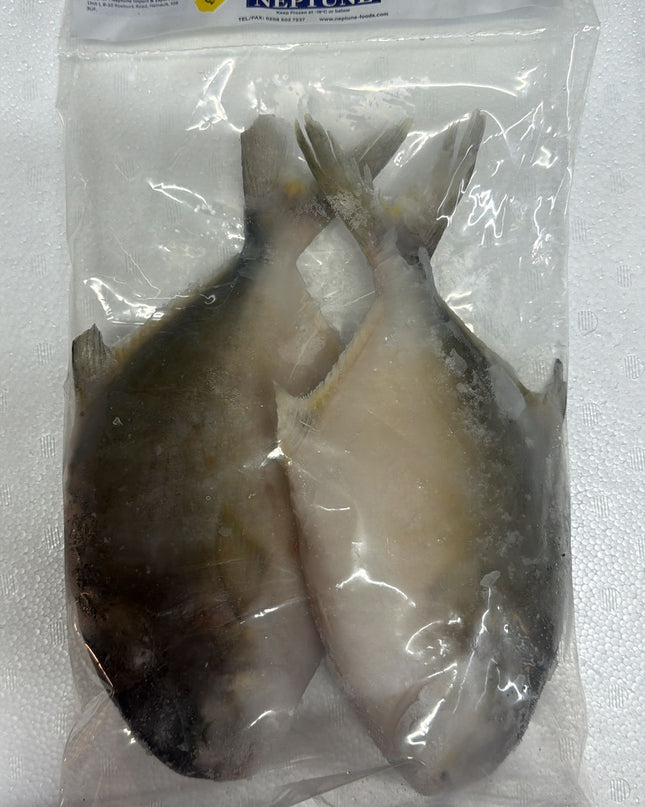 Neptune golden pomfret 1kg