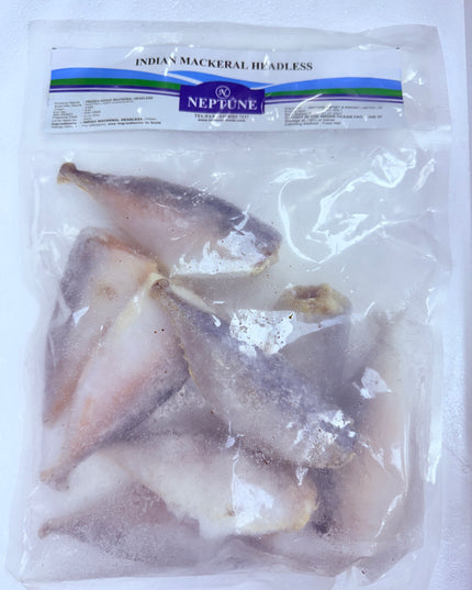 neptune Indian mackerel headlines 600g