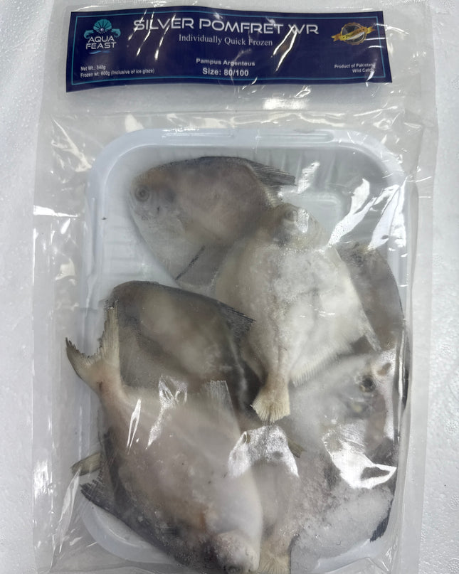 AQUA FEAST - Frozen Fish Silver Pomfret WR
