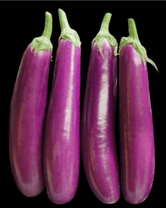 Aubergine 250g