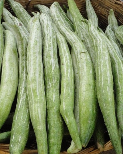 Snake gourd 250g (padaval)