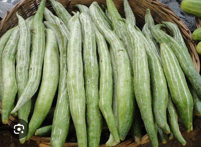 Snake gourd 250g (padaval)