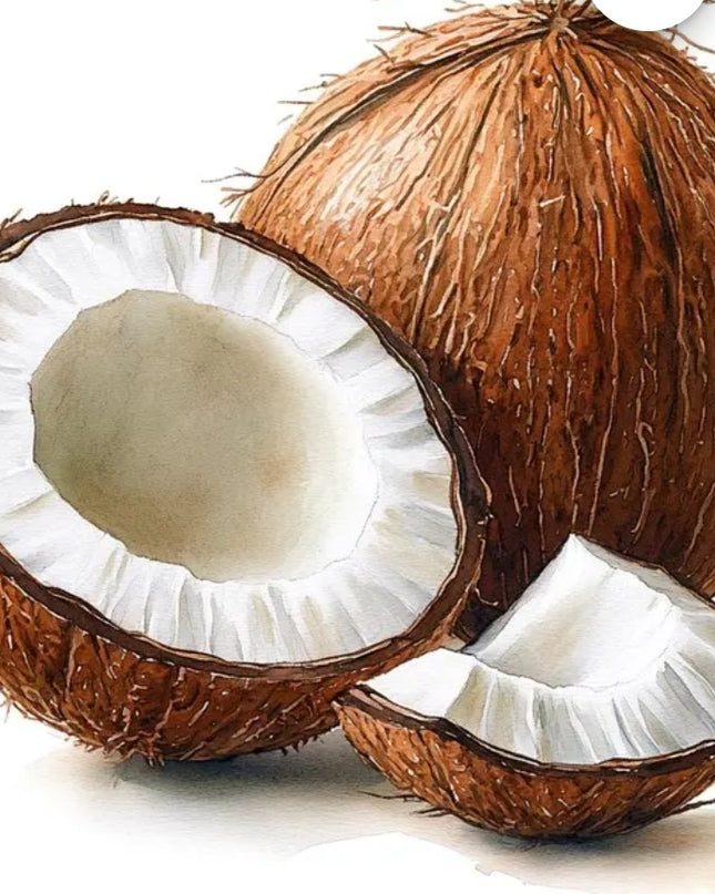 Coconut