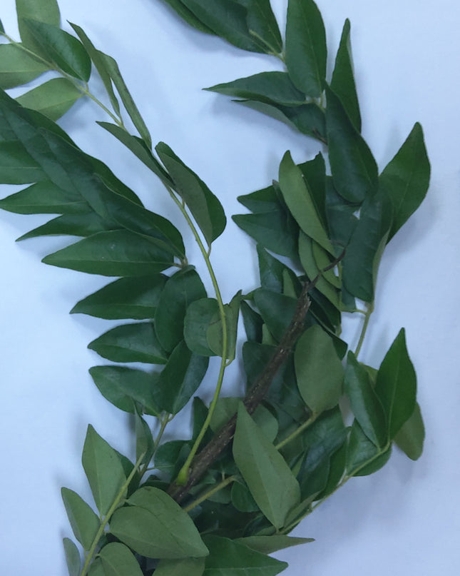 Curry leaves  1 bunch